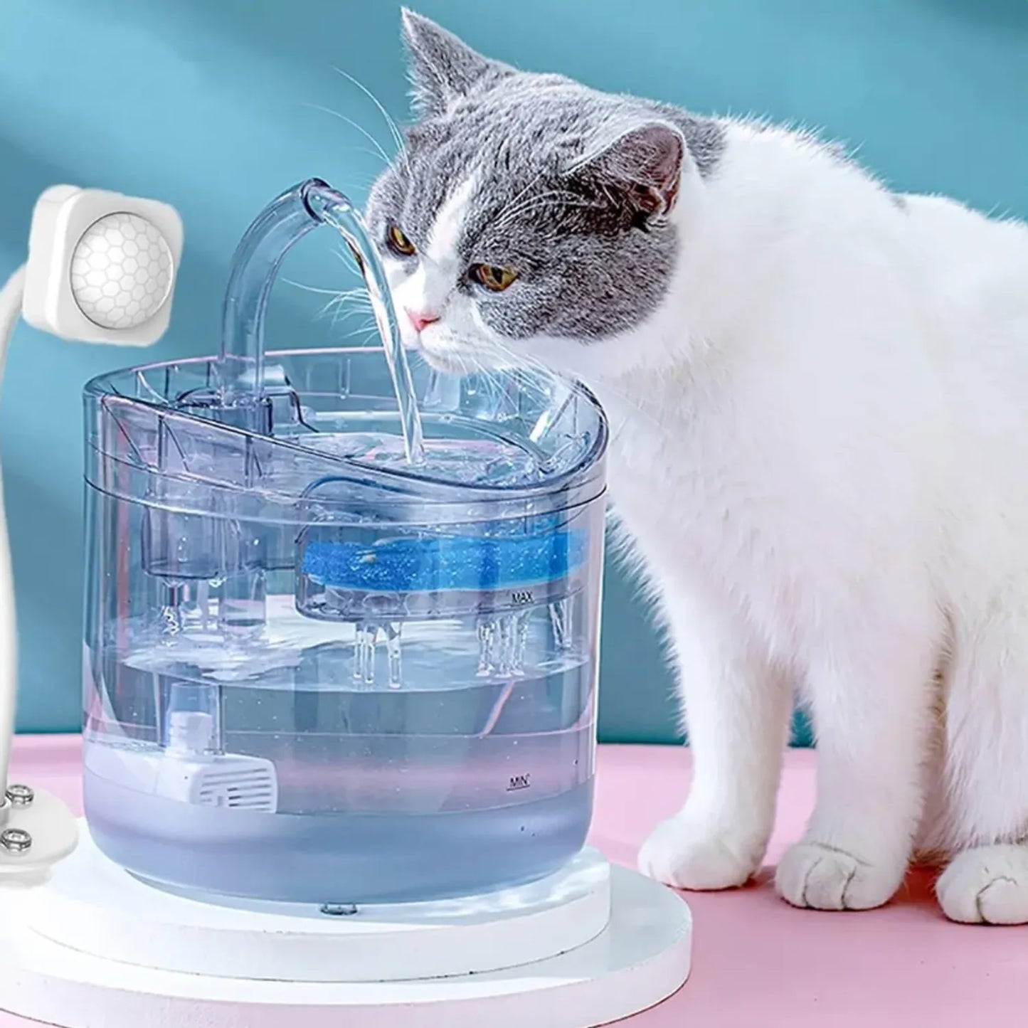 Fuente Bebedero Para Gatos Y Mascotas